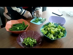 Utilisation à domicile Bonbons Fruits légumes Petite machine à sécher par congélation À vendre