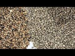 Trieur de couleurs de riz Machine à trier les grains de café Riz Grain Couleur Blé Machine de tri automatique