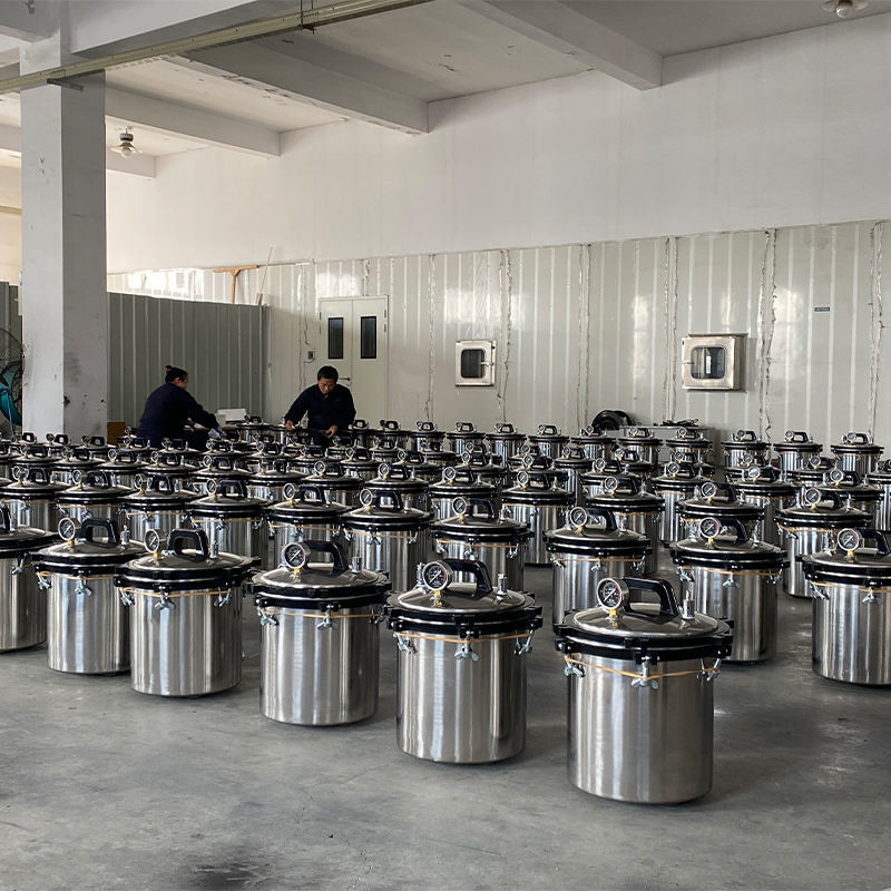 Cornue d'autoclave de stérilisateur pressurisée par vapeur d'affichage numérique 24 L pour la nourriture en boîte