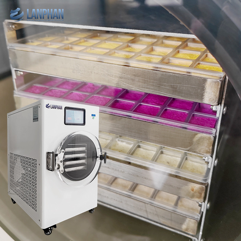 Machines de congélation sous vide Famille séchoirs de congélation Séchage des aliments équipement avec filtre à brouillard d'huile