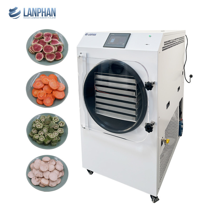 Séchoir-congélateur alimentaire à domicile 7 plateaux 2,5 m2 Grands dimensions aspirateur Séchoir-congélateur à domicile avec pompe à huile