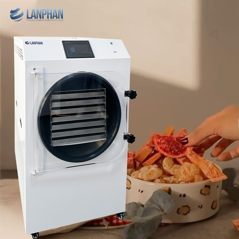 Lanphan 7-Tray Medium Home Freeze Dryer Noir Blanc Freeze Dry À la maison pour les fruits alimentaires