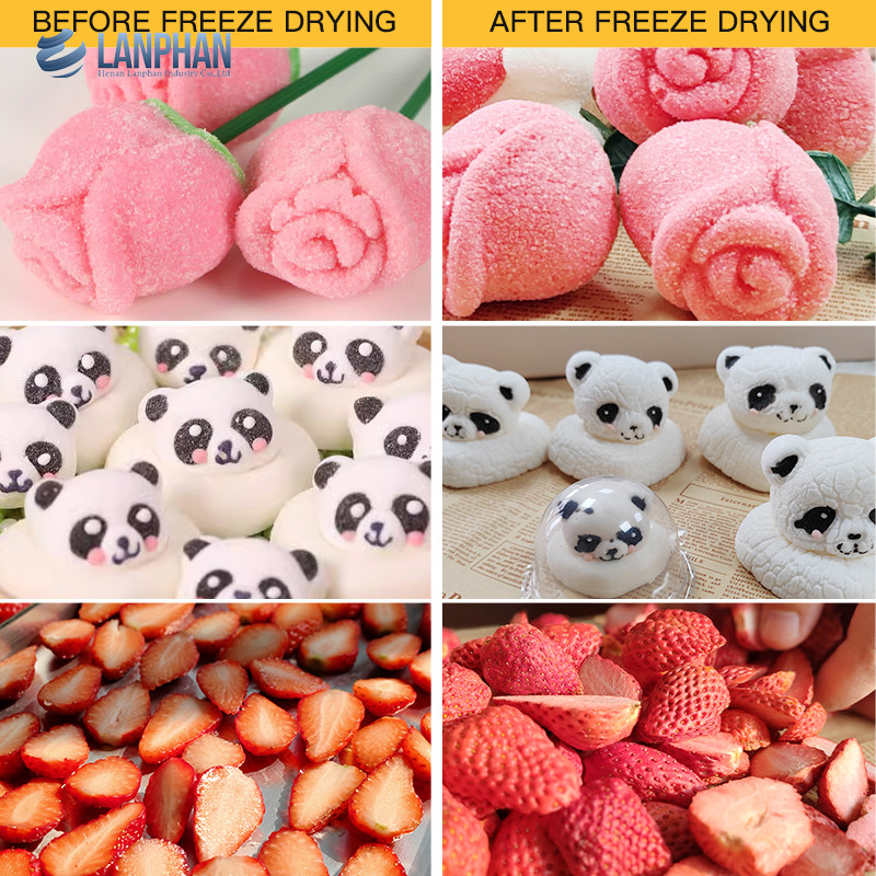 Lanphan 7-Tray Medium Home Freeze Dryer Noir Blanc Freeze Dry À la maison pour les fruits alimentaires