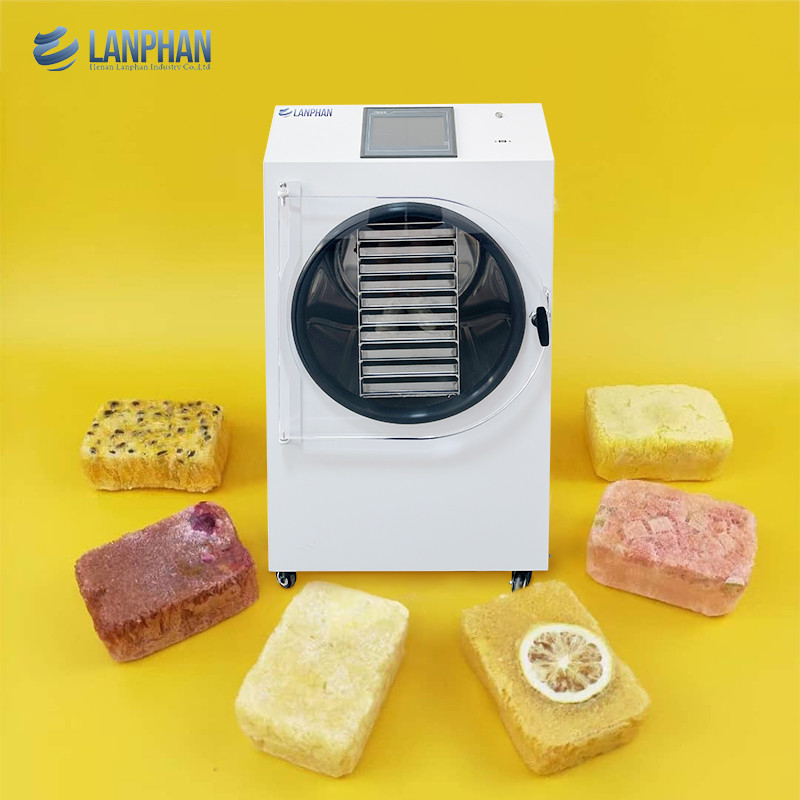 10 plateaux Séchoir à vide congélateur machine à candy Fruit Thé Lait Aliments Séchoirs à froid Pour usage domestique