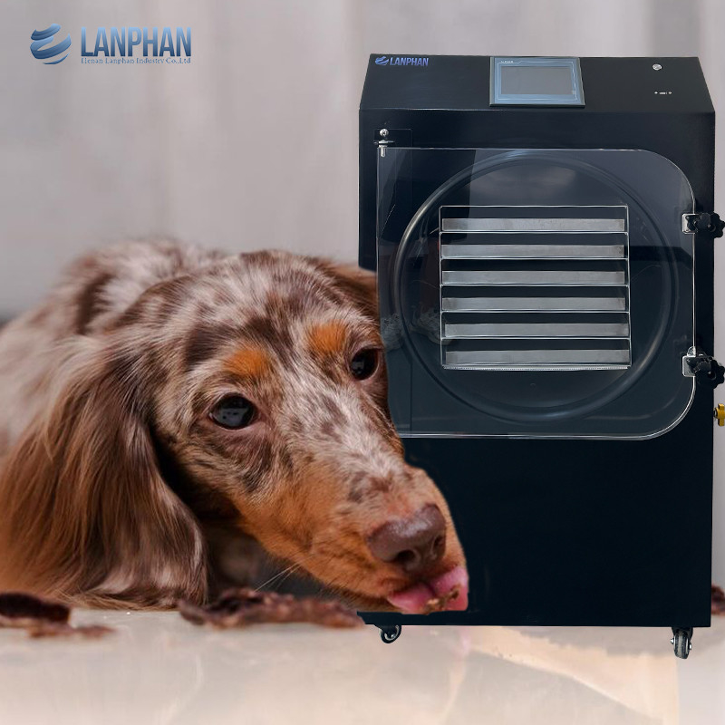 25 kg/h machine à vide noire de séchage par congélation pour animaux de compagnie traitement alimentaire à domicile de laboratoire de congélation