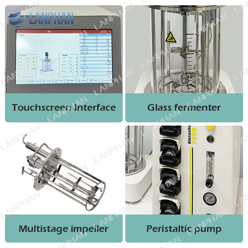5l Bioréacteur de culture cellulaire animale Bioréacteur en verre autoclavé Fermentateur microbien