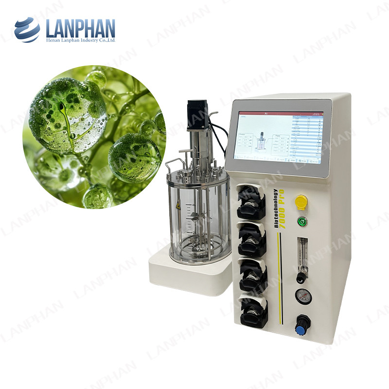 Levures spiruline Bioréacteur en verre de laboratoire Bioréacteur de fermentation Bioréacteur de culture cellulaire animale Bioréacteur 10L/5L