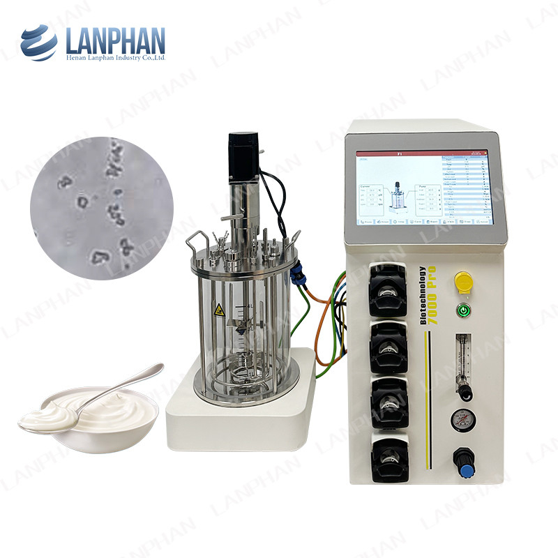 Bioréacteur de fermentation microbienne / bactérienne 1l Bioréacteur de fermentation de laboratoire pour les algues