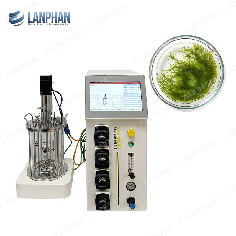 Bioréacteur de fermentation microbienne / bactérienne 1l Bioréacteur de fermentation de laboratoire pour les algues