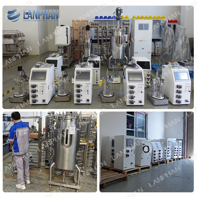 2l 5l 10l culture automatique de levure de spiruline Bioréacteur de fermentation en verre pour culture cellulaire