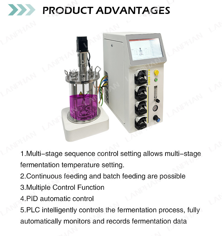 Bioréacteur de fermentation microbienne / bactérienne 1l Bioréacteur de fermentation de laboratoire pour les algues
