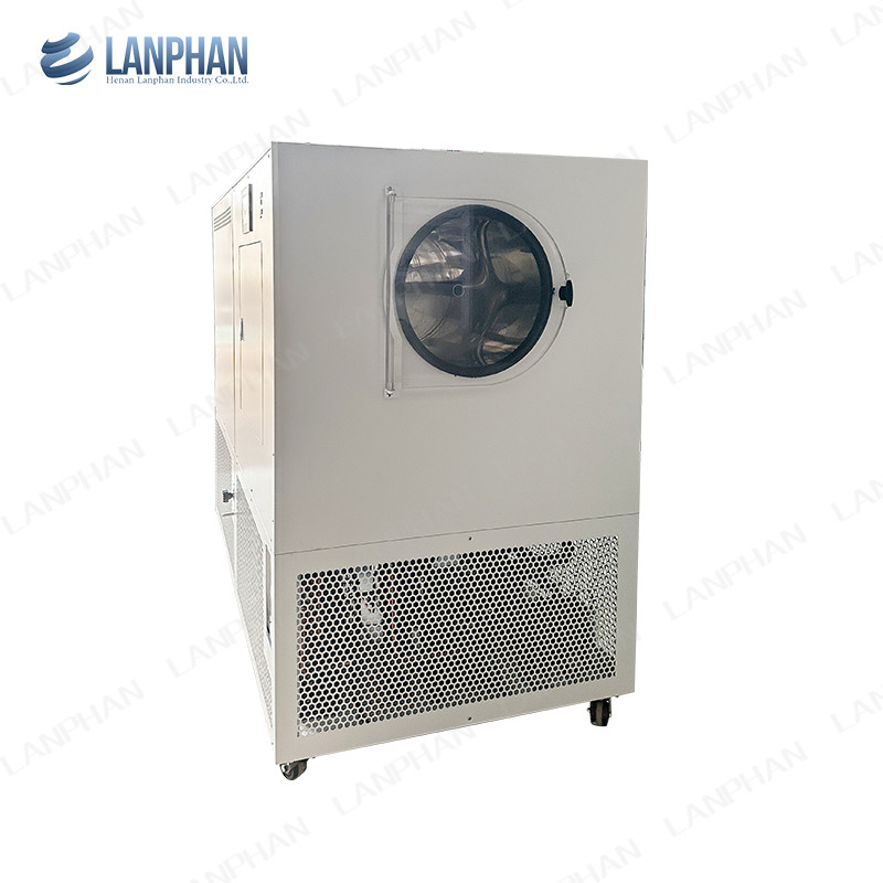 Lanphan machine automatique de congélation de 5 m2 pour les fruits et légumes