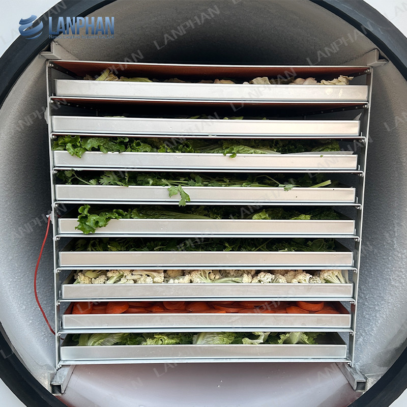 Lanphan machine automatique de congélation de 5 m2 pour les fruits et légumes