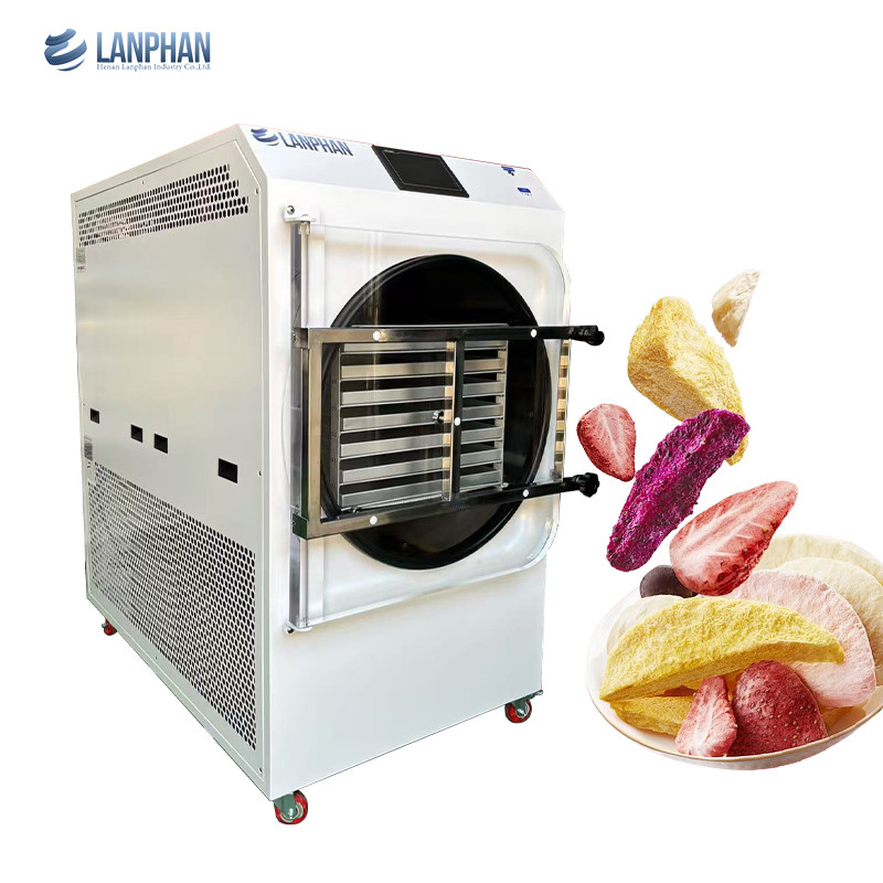 4m2 14 Grands plateaux Vacuum Food Freeze Dryer usine Fabricant de fruits et légumes