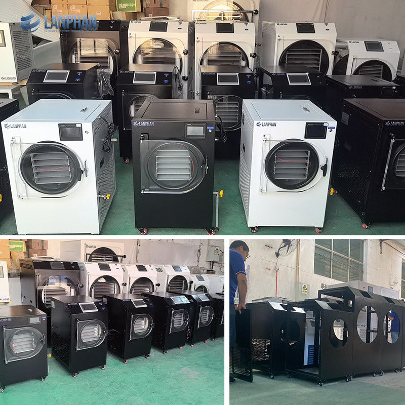 4m2 14 Grands Plateaux Machine de Séchage de Fruits Alimentaires sous Vide Prix Équipement Commercial de Lyophilisation sous Vide Alimentaire