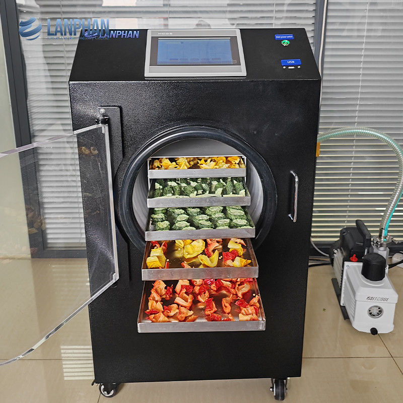 Small Freeze Dryer Lanphan New Upgrade 0.5m2 Black Freeze Drying Machine With Vacuum Pump