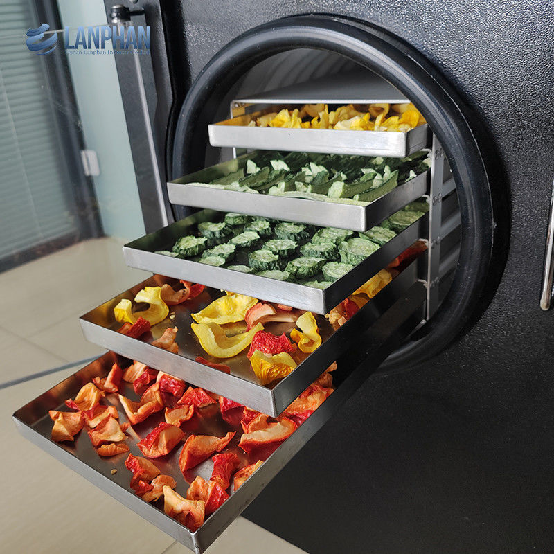Small Freeze Dryer Lanphan New Upgrade 0.5m2 Black Freeze Drying Machine With Vacuum Pump
