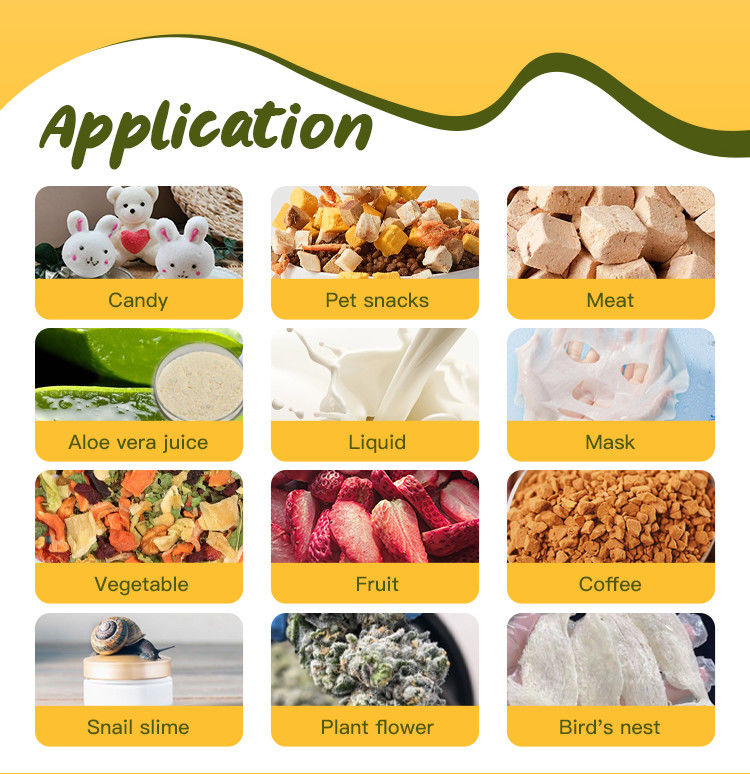 Lyophilisateur de fruits 6 kg, 10 kg, 20 kg, petit équipement de lyophilisation sous vide, lyophiliseur domestique pour aliments