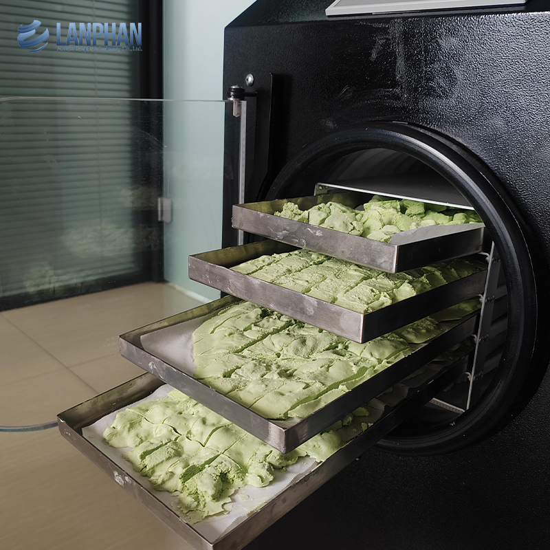 Machine de lyophilisation automatique pour petite maison, pour fruits, aliments, viande et légumes, avec pompe à vide