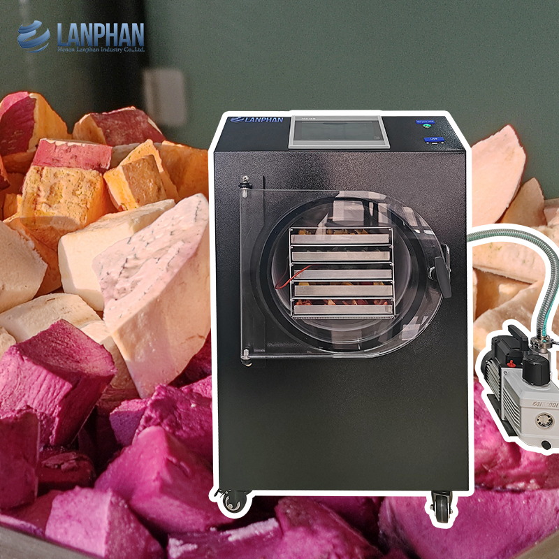 Machine de lyophilisation automatique pour petite maison, pour fruits, aliments, viande et légumes, avec pompe à vide