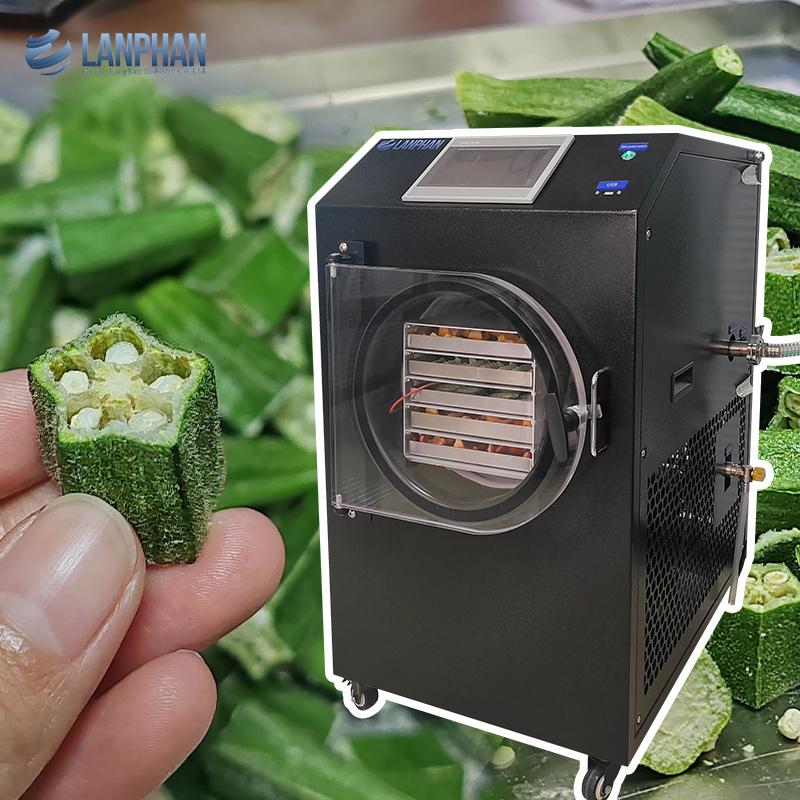 Machine de lyophilisation automatique pour petite maison, pour fruits, aliments, viande et légumes, avec pompe à vide
