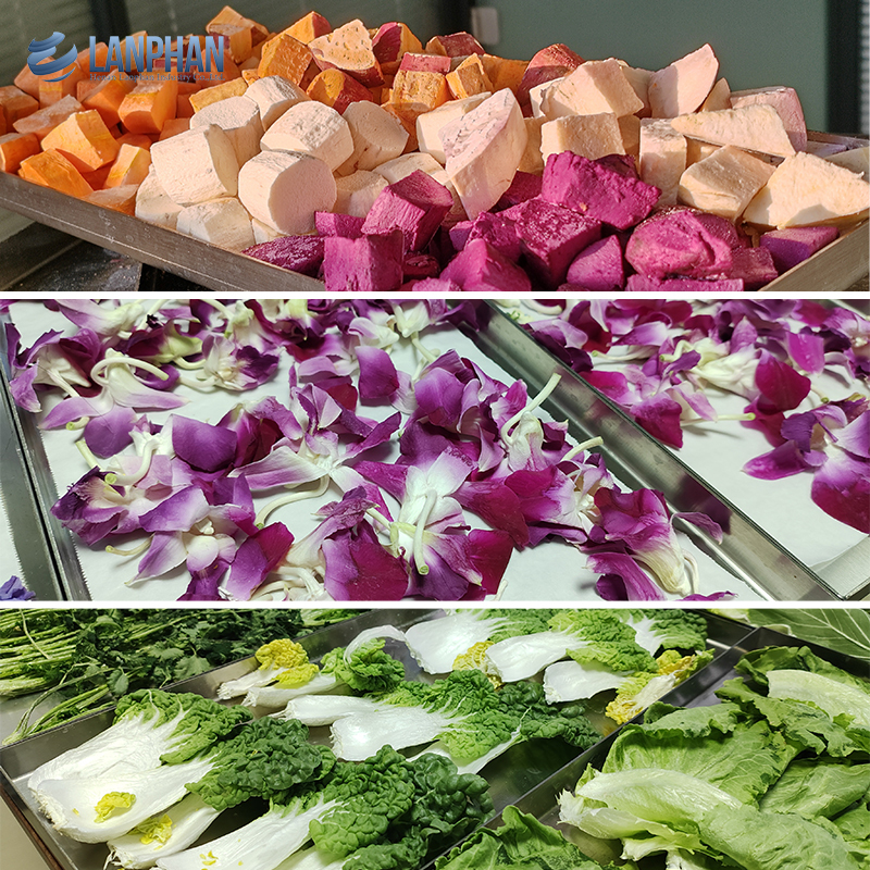 Lyophilisateur de fruits 6 kg, 10 kg, 20 kg, petit équipement de lyophilisation sous vide, lyophiliseur domestique pour aliments