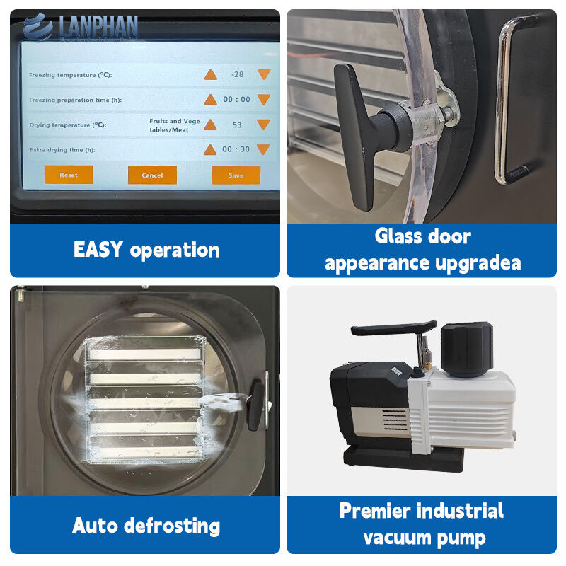 4 à 6 kg machine automatique de congélation sous vide pour petits aliments, fruits et viandes pour usage domestique
