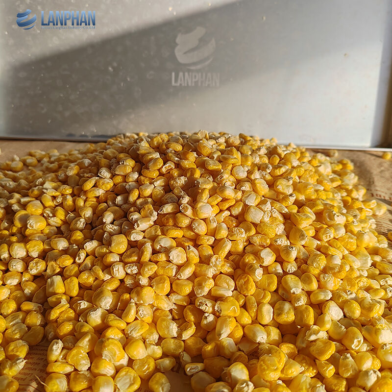 4 à 6 kg machine automatique de congélation sous vide pour petits aliments, fruits et viandes pour usage domestique