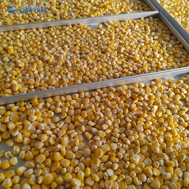 5-Tray petite taille sèche-glace en acier inoxydable avec pompe à huile pour les aliments sucrés