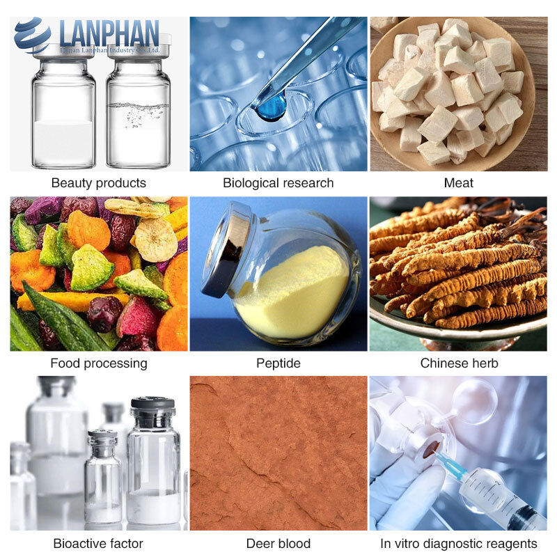8 kg/ lot de lyophilisateur pour produits microbiens