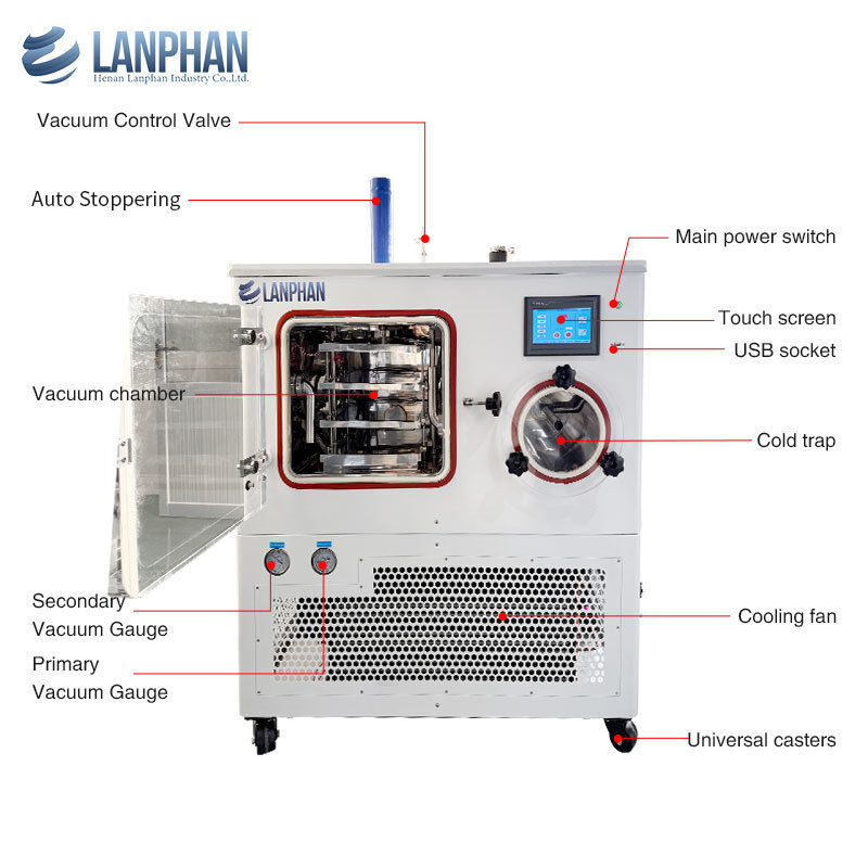 Lyophilisateur de laboratoire, machine de séchage sous vide, capacité de 4 kg/lot et température de piège froid de -75 °C pour la formulation d'aliments biologiques