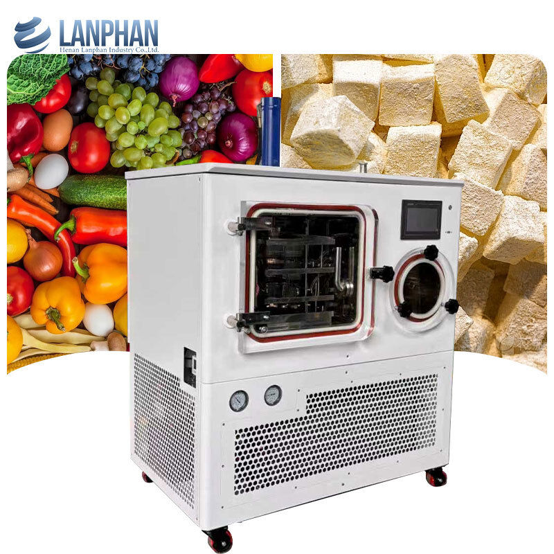 Lyophilisation industrielle de laboratoire pour lots de 8 kg, lyophilisateur pour produits pharmaceutiques et microbiens