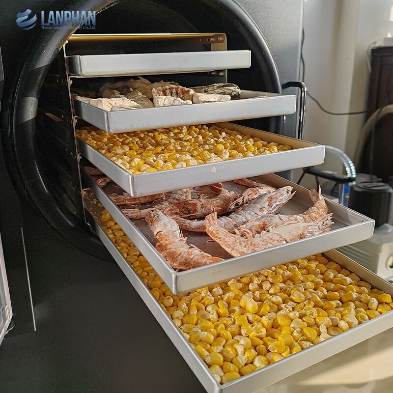 5-Tray petite taille sèche-glace en acier inoxydable avec pompe à huile pour les aliments sucrés