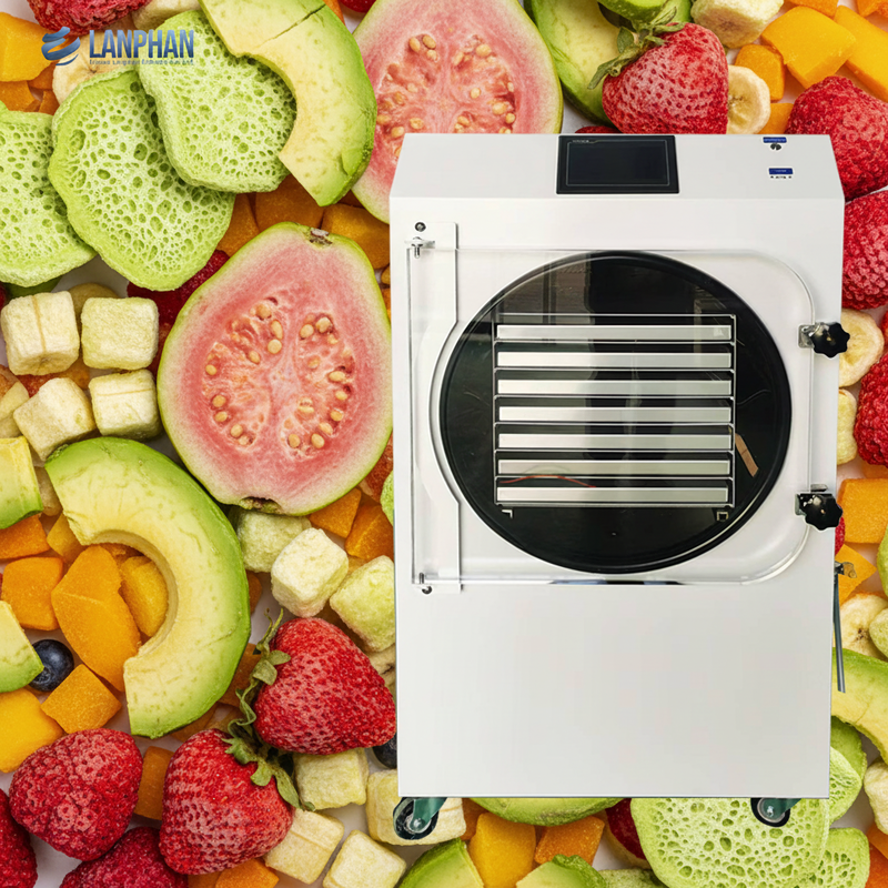 3.5 M2 Shelf Area & 35-40 KG Large Batch Capacity HFD-35 Vacuum Freeze Dryer