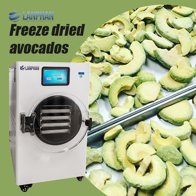 Machine de séchage de fruits en acier inoxydable Pour les aliments