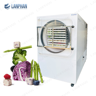 Lanphan machine automatique de congélation de 5 m2 pour les fruits et légumes