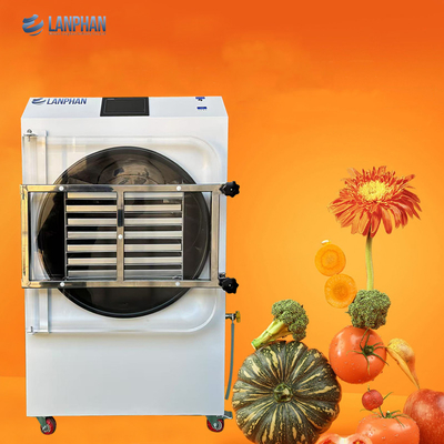 4m2 14 Grands plateaux Vacuum Food Freeze Dryer usine Fabricant de fruits et légumes